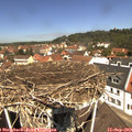11_55-nest.jpg