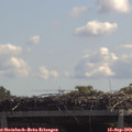 12_00-mast.jpg