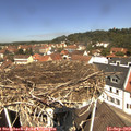 12_00-nest.jpg