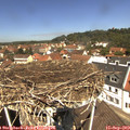 12_05-nest.jpg