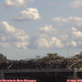 12_10-mast.jpg