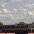 12_15-mast.jpg