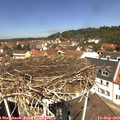 12_15-nest.jpg