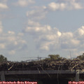 12_20-mast.jpg