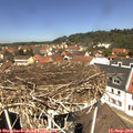 12_25-nest.jpg