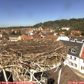 12_30-nest.jpg