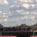 12_35-mast.jpg