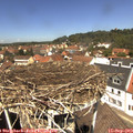 12_35-nest.jpg