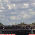 12_40-mast.jpg