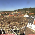12_45-nest.jpg