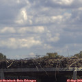 12_50-mast.jpg