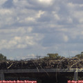 12_55-mast.jpg