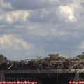 13_05-mast.jpg