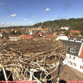 13_05-nest.jpg