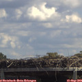 13_10-mast.jpg