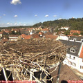 13_10-nest.jpg