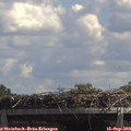 13_15-mast.jpg