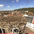 13_15-nest.jpg