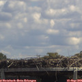 13_20-mast.jpg