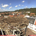13_20-nest.jpg