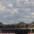 13_25-mast.jpg