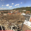 13_25-nest.jpg