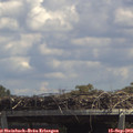 13_30-mast.jpg