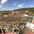 13_30-nest.jpg