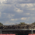 13_35-mast.jpg