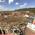 13_35-nest.jpg
