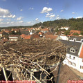 13_40-nest.jpg