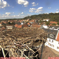 13_55-nest.jpg