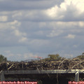 14_00-mast.jpg