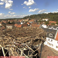14_00-nest.jpg