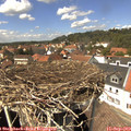 14_05-nest.jpg