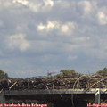 14_10-mast.jpg