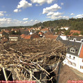 14_10-nest.jpg