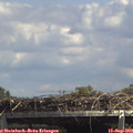 14_15-mast.jpg