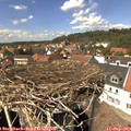 14_15-nest.jpg