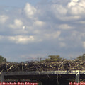 14_20-mast.jpg