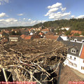 14_20-nest.jpg