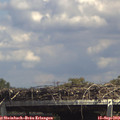 14_25-mast.jpg