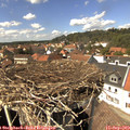 14_25-nest.jpg