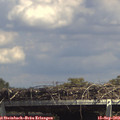 14_30-mast.jpg