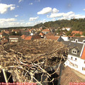 14_35-nest.jpg
