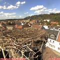 14_40-nest.jpg