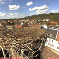 14_45-nest.jpg