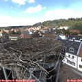14_50-nest.jpg