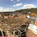 14_55-nest.jpg