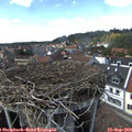 15_00-nest.jpg